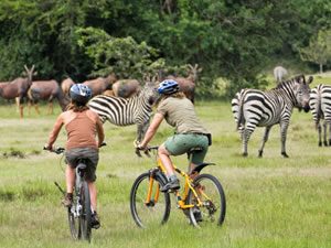 Bicycle Safaris in Lake Mburo